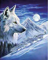 PUZZLE CLEMENTONI 30802 THE WOLF