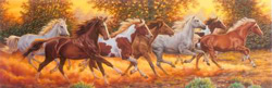 PUZZLE CLEMENTONI 31300 caballos a la carrera
