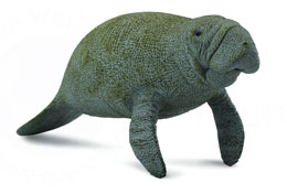 88455 COLLECTA MANATI