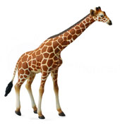 88534 COLLECTA JIRAFA