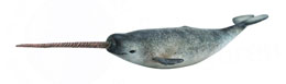 88615 COLLECTA NARVAL BALLENA UNICORNIO