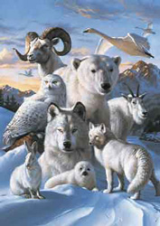 PUZZLE EDUCA 12443 ANIMALES POLARES
