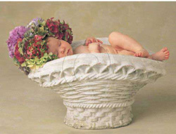 PUZZLE EDUCA 12470 HYDRANGEA - ANNE GEDDES