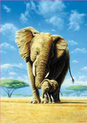 PUZZLE EDUCA 12728 ELEFANTES