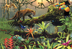PUZZLE EDUCA 13032 VIDA EN LA SELVA