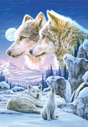 PUZZLE EDUCA 13412 AULLIDO EN LA NOCHE