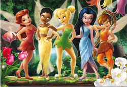 PUZZLE EDUCA 14076 FAIRIES
