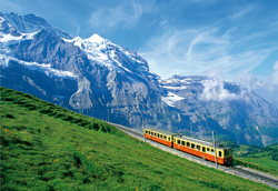 PUZZLE EDUCA 14116 TREN CERCA DEL MACIZO JUNGFRAU