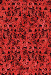 PUZZLE IMPOSIBLE EDUCA ROSAS 14137
