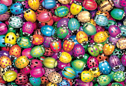 PUZZLE EDUCA 14076 FAIRIES