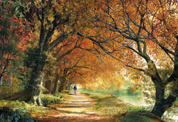 PUZZLE EDUCA 14819 PASEO OTOÑAL
