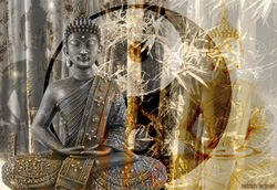 PUZZLE EDUCA 1415173 ZEN