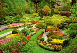 PUZZLE EDUCA 1000 PIEZAS 15523 JARDINES BUTCHART, CANADA