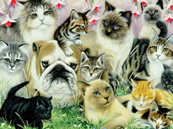 PUZZLE JUMBO 01870 BULLDOG Y GATOS