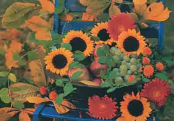 PUZZLE JUMBO 1000 PIEZAS