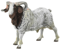 51029 CABRA PAPO