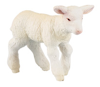 51047 CORDERO MERINOS PAPO