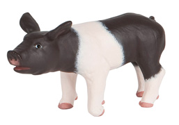 51139 CERDITO PAPO