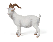 51145 CHIVO PAPO