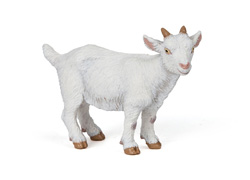 51146 CABRITO PAPO