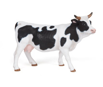 51148 VACA PICAZO NEGRA Y BLANCA PAPO