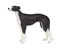 ANIMALES PAPO 54015 PERRO GALGO