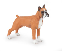 PERRO BOXER PAPO