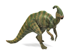 55004 PARASSUROLOPHUS PAPO