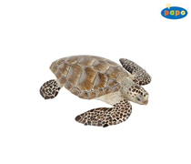 56005 TORTUGA DE MAR PAPO