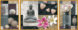 PUZZLE RAVENSBURGER 19992 WELLNESS