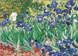 PUZZLE RICORDI 09589 LIRIOS, VAN GOGH