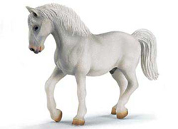 13293 SEMENTAL LIPIZZANER SCHLEICH