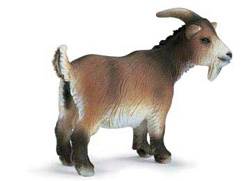 13601 CABRA ENANA SCHLEICH