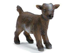13611 CABRITO ENANO SCHLEICH