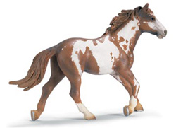 13616 SEMENTAL PINTO SCHLEICH