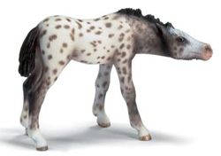  13619 POTRO KNABSTRUPPER SCHLEICH