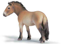 13620 CABALLO PRZEWASLSKI SCHLEICH
