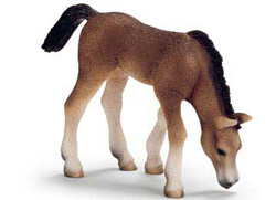 13652 POTRITO ARABE SCHLEICH