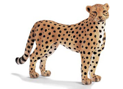 14143 GUEPARDO SCHLEICH