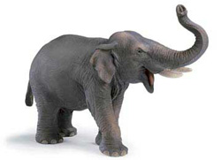14144 ELEFANTE ASIATICO SCHLEICH