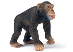 ANIMALES SCHLEICH 14189 CHIMPANCE MACHO