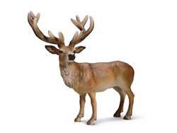 14248 CIERVO SCHLEICH
