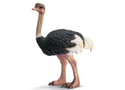 14325 AVESTRUZ SCHLEICH