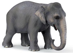 14344 ELEFANTE ASIATICO SCHLEICH