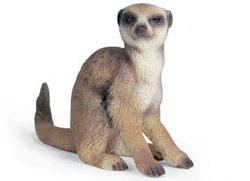 14362 SURICATO SCHLEICH