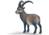 14366 CABRA MONTESA SCHLEICH