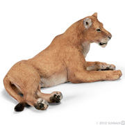 14375 LEONA SCHLEICH