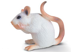 14406 RATON BLANCO SCHLEICH