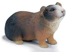 14417 CONEJILLO DE INDIAS SCHLEICH