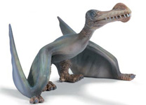 14511 ANHANGUERA SCHLEICH